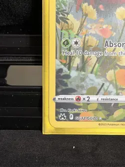 Pokemon TCG Illustration Holo Rare Paras Crown Zenith GG32/GG70 - Image 5