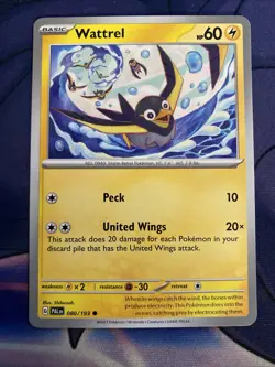 Pokemon TCG Paldea Evolved Wattrel 080/193 - Image 1