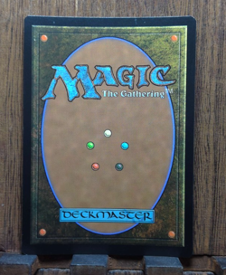 MTG Blue, Loyal Raptor (FOIL Borderless) Universes Beyond: Jurassic World Col.. - Image 3