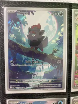 Pokemon SV: White Flare Zorua SAR 142/086 Pull To Sleeve NM - Image 1