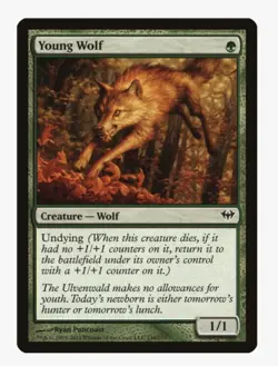 Young Wolf | MTG DKA | Wolf Tribal Undying Pauper EDH Aristocrats | LP - Image 1
