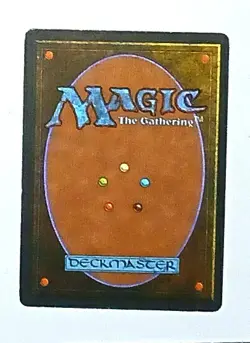Magic the Gathering * MTG * 1 X Northern Paladin * Revised * MP - Image 2
