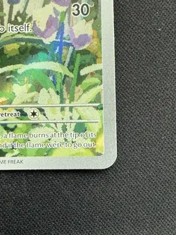 Pokemon TCG Obsidian Flames Charmander #044 SVP en Black Star Promo NM Near Mint - Image 4