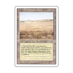 WOTC MtG 3rd Ed Savannah (R) NM - Image 1