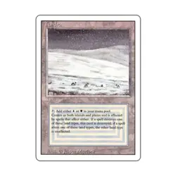 WOTC MtG 3rd Ed Tundra (R) EX - Image 1