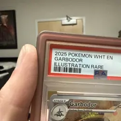 Pokemon 2025 Garbodor 141/086 Illustration Rare White Flare GEM MINT PSA 10 - Image 2