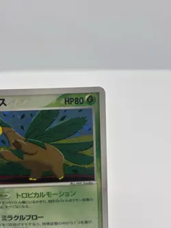 Tropius 014/082 Pokemon Vintage JPN Holo Rare Clash of the Blue Sky EX Deoxys NM - Image 4