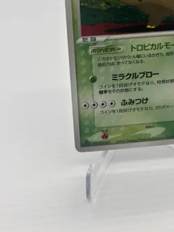 Tropius 014/082 Pokemon Vintage JPN Holo Rare Clash of the Blue Sky EX Deoxys NM - Image 5