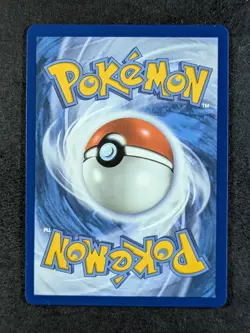 2025 Pokemon MEGA LUCARIO EX #033 Black Star Promo Ascended Heroes Prem. Coll. - Image 2