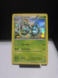 Serperior 5/114 Cracked Ice Holo Black & White Base Set Pokemon Card NM - Image 1