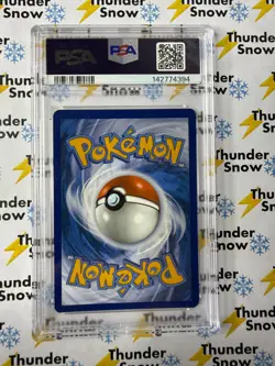 Rayquaza Holo Sea & Sky Premium Collection #029 2024 Pokemon PSA 9 142774394 - Image 2