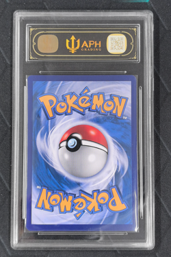 APH Black 10 2024 Pokemon TCG S-Chinese Radiant Eevee #CS5aC 092/127 K Exclusive - Image 2