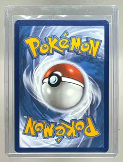 Bloodmoon Ursaluna ex 2024 Pokemon Twilight Masquerade #141 - Image 2