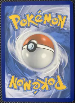 Oshawott SWSH222 SWSH: Sword & Shield Promo Cards Holo - Pokemon Card - Image 2