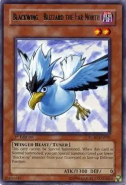 Yugioh! LP Blackwing - Blizzard the Far North - RGBT-EN010 - Rare - 1st Edition - Image 1