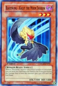 Yugioh! LP Blackwing - Kalut the Moon Shadow - RGBT-EN012 - Common - Unlimited E - Image 1