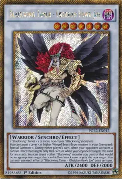 Yugioh! LP Blackwing Tamer - Obsidian Hawk Joe - PGL2-EN012 - Gold Secret Rare - - Image 1