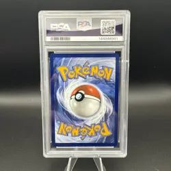 2025 Pokemon Scarlet Violet Black Star Promo Feraligatr #213 PSA 10 - Image 2