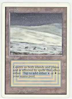 1994 MTG Magic The Gathering Unlimited Edition Tundra MP - Image 1