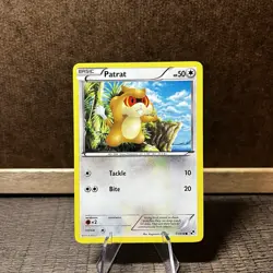 Pokemon Black & White 77/114 Patrat Common Card LP - Image 1