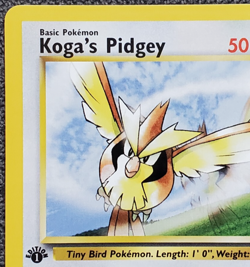 1st Edition Koga's Pidgey - Gym Challenge - #80/132 - Vintage Pokemon Card 2000 - Image 2