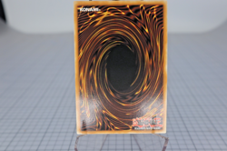 Yu-Gi-Oh Rarity Collection V 5 Blue-Eyes White Dragon Starlight Rare RA05-EN085 - Image 2