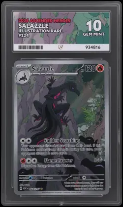 ACE 10 - Salazzle - Ascended Heroes - 224/217 - Illustration Rare Pokemon TCG - Image 1