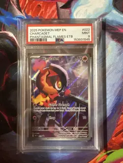 Pokemon Phantasmal Flames Charcadet #22 ETB Black Star Promo - PSA 9 - Image 1