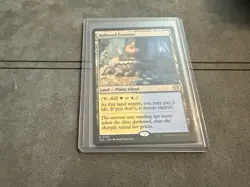 Hallowed Fountain (265) NM Lorwyn Eclipsed (ECL) MTG - Image 1