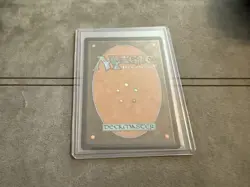 Hallowed Fountain (265) NM Lorwyn Eclipsed (ECL) MTG - Image 2