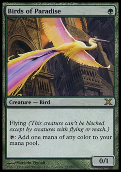 MTG English Birds of Paradise NM Normal 10th Edition - Image 1