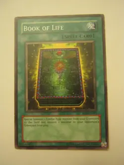 (x1) Book Of Life SD2-EN021 Spell Card Yu-Gi-Oh (JB-54) - Image 2
