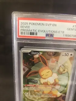2025 POKEMON SVP EN-SV BLACK STAR PROMO #173 EEVEE PSA 10 - Image 2