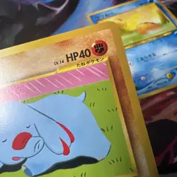 Phanpy & Swinub Neo Destiny 4 Japanese Vintage TCG Pokemon Old Back “Two4TuesMP” - Image 5