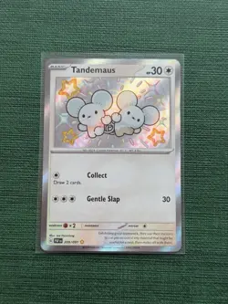 2024 Pokemon Tandemaus 209/091 Paldean Fates Baby Shiny Vault Holo Rare PAF - Image 1