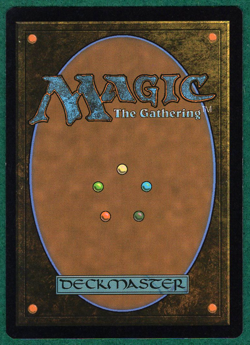 Forest (0281) - Bloomburrow (BLB) - Magic: The Gathering MTG Card - Image 2
