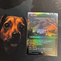 Mtg FOIL BORDERLESS The Shire UB The LotR Tales Of Middle-earth + Bonus Foils - Image 1