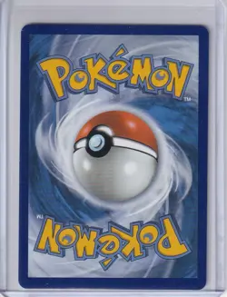 Pokemon Raticate 099/088 Perfect Order 2026 Illustration Rare NM Pack Fresh - Image 2