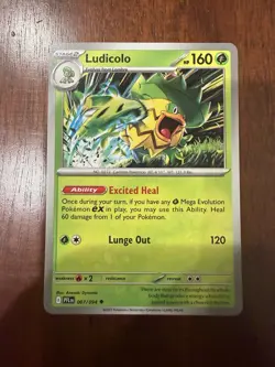 Pokemon Card Lot 40 Holo Reverse Holo Rare Cards NM Suicune Flygon Bulk - Image 4