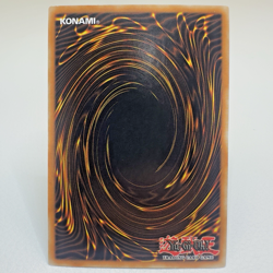 Yugioh Ghost Sister & Spooky Dogwood MAGO-EN013 1st Edition Gold Rare - NM💎 - Image 2