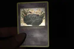 Pokemon Card PL Holo Rare Mew 53/108 XY Evolutions - Image 4