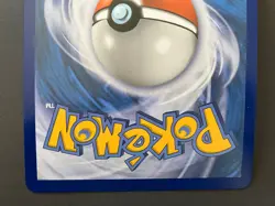 Venusaur EX XY123 XY JUMBO Pokemon Card Oversized PROMO HOLO Generations NM - Image 5