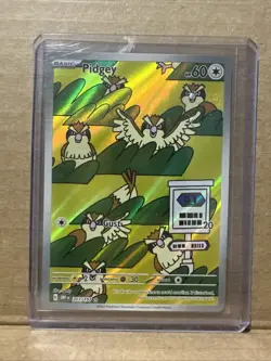 Pokemon - 207/197 Pidgey SV03 Obsidian Flames Illustration Rare Full Art Holo NM - Image 1