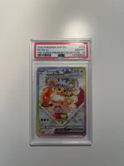 Pokemon TCG Eevee ex 174 Scarlet & Violet Promo Card PSA 10 - Image 1