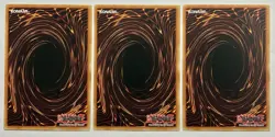 (x3 Set) Hippo Token YS16-ENT01/02/03 (NM) Common 1st Edition Yu-Gi-Oh! TCG - Image 2