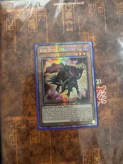 Yu-Gi-Oh! Red Rose Dragon *STARLIGHT RARE* MP25-EN037 1st Edition NM/M - Image 1