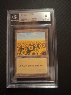 MTG-Plains-Apac Land Promo-Ron Spears-Bgs 9 - Image 1