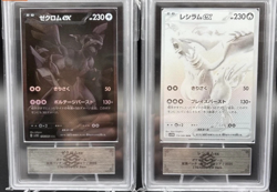 ARS 10 Zekrom Reshiram ex BWR 174/086 Set Pokemon Card Japanese 2025 - Image 1