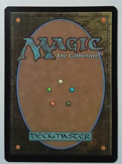 Stormcarved Coast *FOIL Rare* Magic MtG x1 Secrets of Strixhaven - Image 2