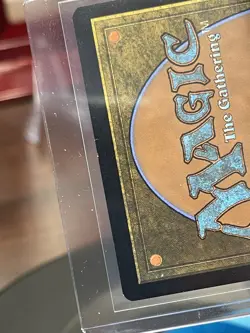 Rhythm of the Wild 0012 Borderless Teenage Mutant Ninja Turtles TMNT MTG NM TMT - Image 3